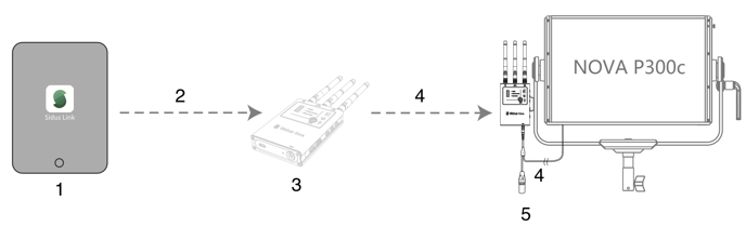 CRMX_Receiver_IN_to_Wired_DMX_OUT