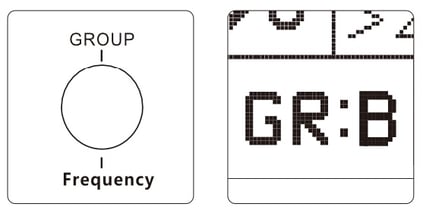 ls300dII-ls300x_group_button